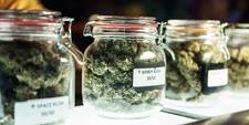 Glass jars filled with cannabis sitting on a table